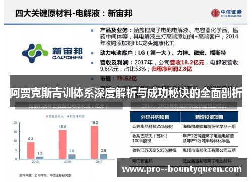 阿贾克斯青训体系深度解析与成功秘诀的全面剖析