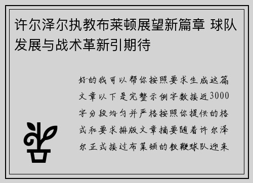 许尔泽尔执教布莱顿展望新篇章 球队发展与战术革新引期待